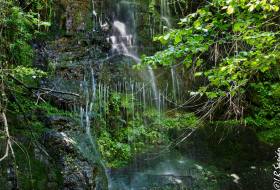 Río Aján : La Selva Pasiega