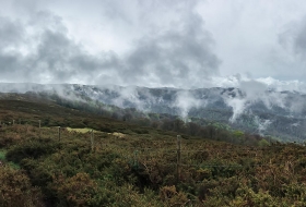 Alto del Toral