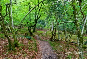 Arroyo Las Cortes