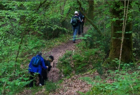 Bosque de Caviedes