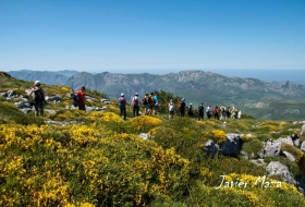 Braña de los Tejos