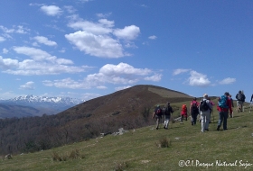 Brañas de la Cotera