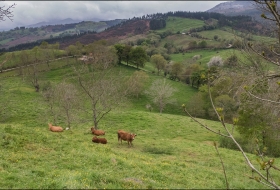 Camino de la Torre del Medievo