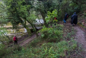 Camino de la Torre del Medievo