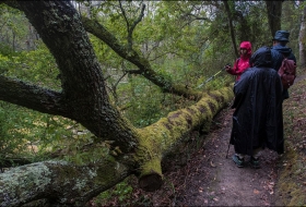 Camino de la Torre del Medievo