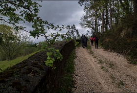 Camino de la Torre del Medievo