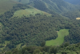 camino viejo saja tudanca