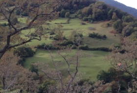 Carboneras del Nansa