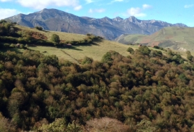 Carboneras del Nansa