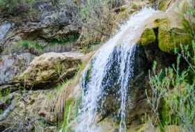 Cascada del Tobazo y su avifauna