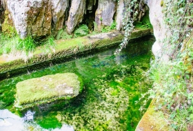 Cascada del Tobazo y su avifauna