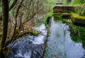 Cascada del Tobazo y su avifauna