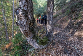 Cascadas de Retumbia por Pedro Laso