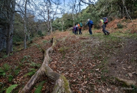 Cascadas de Retumbia por Pedro Laso