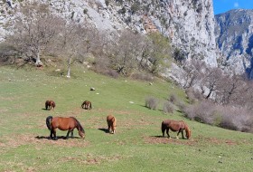 Collado Osina