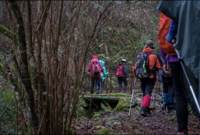 Ruta ecodidáctica: la diversidad forestal de Liébana