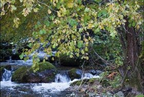 Ruta ecodidáctica: la diversidad forestal de Liébana