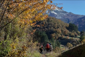 Ruta ecodidáctica: la diversidad forestal de Liébana