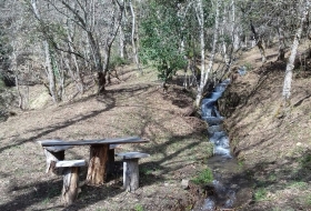 Ruta ecodidáctica: la diversidad forestal de Liébana