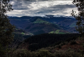 Encinar del Gándara