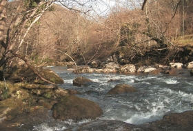 fuente Clara