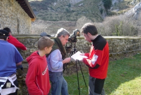 Identificación de aves