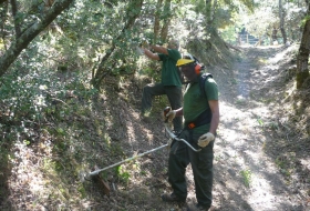 Mantenimiento ambiental