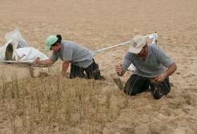 Mantenimiento ambiental