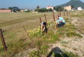 Mantenimiento ambiental