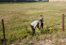 Mantenimiento ambiental