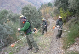 Mantenimiento ambiental