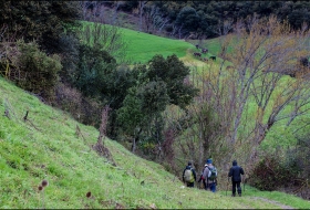 Monte Arabedes