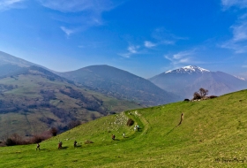 Monte Cestera