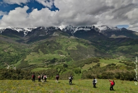 Monte Subiedes