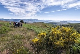 Nacederos del Híjar