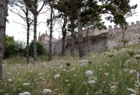 #Natureandoencorto - Ronda de San Vicente por Iván Ruiz Sasián