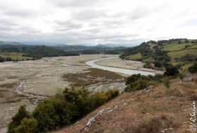 #Natureandoencorto - Ronda de San Vicente por Iván Ruiz Sasián