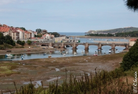 #Natureandoencorto - Ronda de San Vicente por Iván Ruiz Sasián