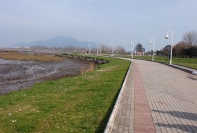 Observación de aves en Colindres