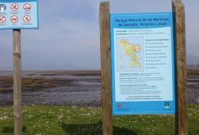 Observación de aves en Colindres