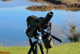 Oyambre Observación de aves