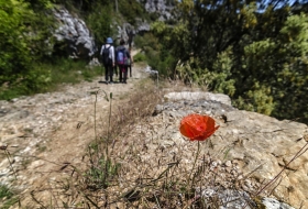 Páramo de Bricia y Cañón del Ebro por Javier Maza