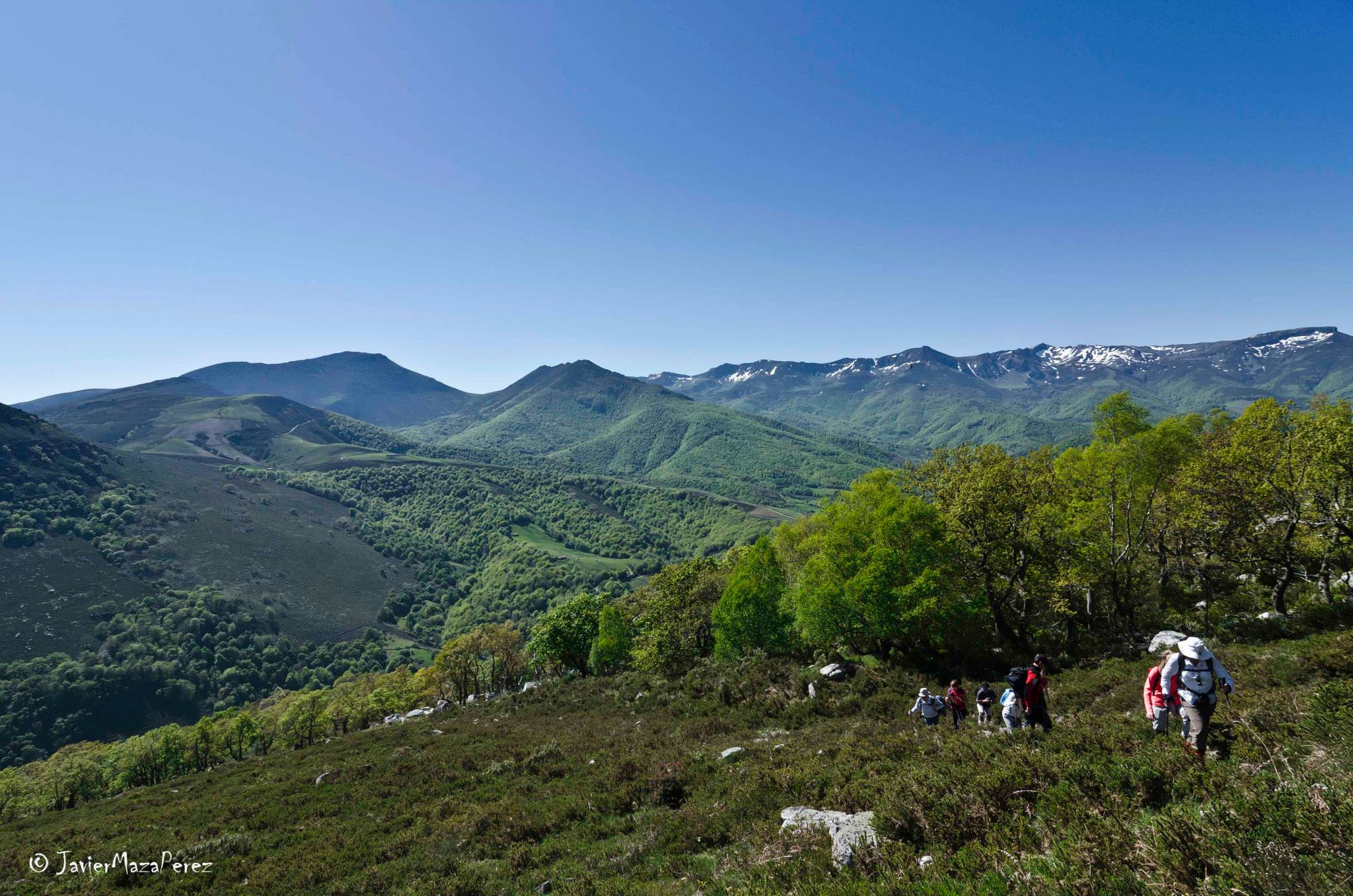Pico Las Astillas - Camino del Potro  Autor:  Javier Maza