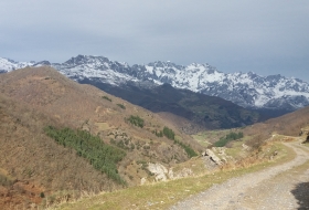 El pontón de la maderá