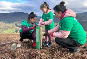 Plantacion provoca familia