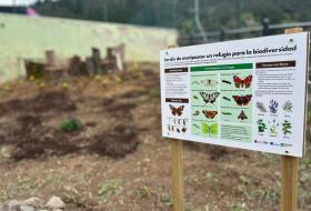 Cartel jardin de mariposas