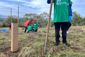 Plantacion ecofriendly