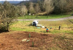 Plantacion rasines