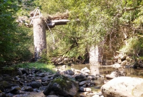 Puente Bujén