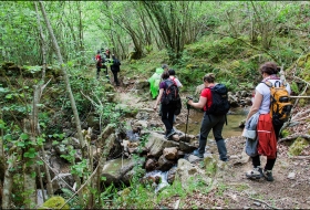 Rio Nansa y Monte de Troncos